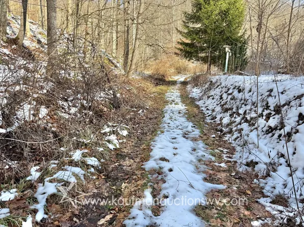 0 Ora Rd, Summersville, WV 26651