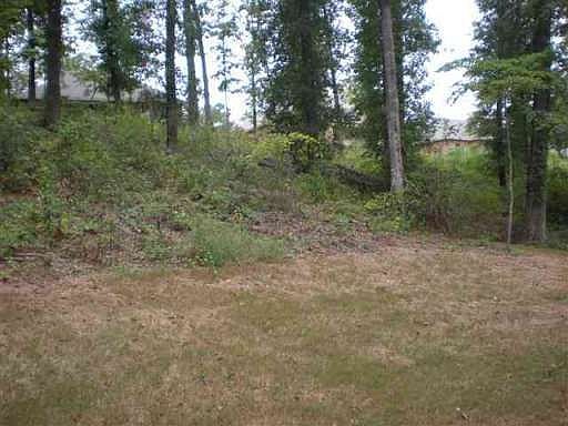 2nd image of 102 Polawenna Ct Lot 28