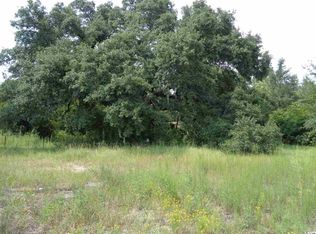 90 Highway, Longs, SC 29568