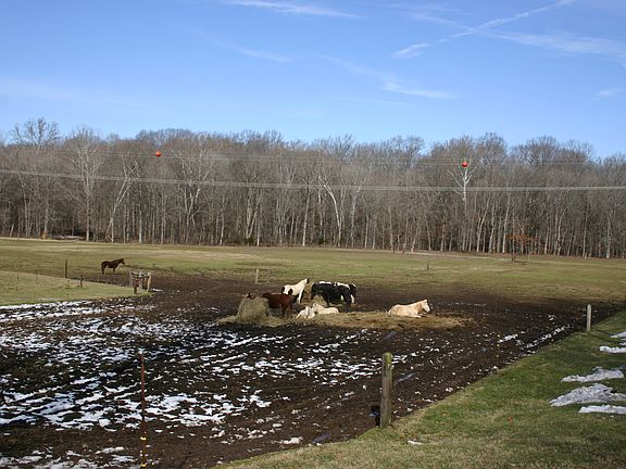 All Open Pasture