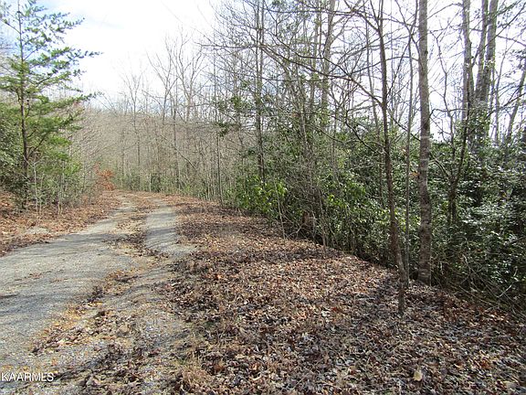 4th image of 0 Wolf Creek Dr