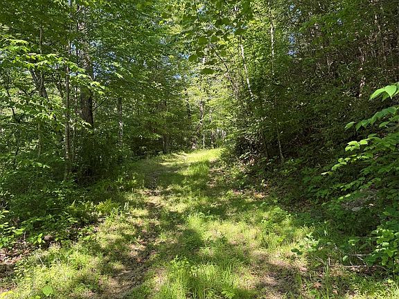 2nd image of 8 Parker Padgett Rd