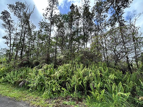 2nd image of Aloha Dr Lot 8