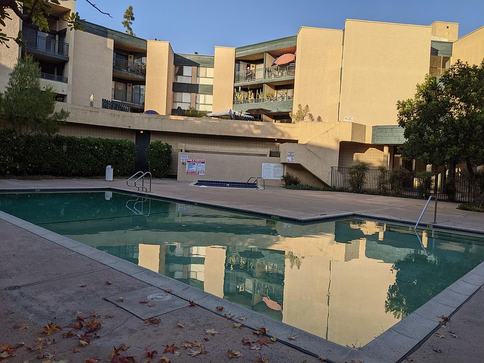 Large Swimming Pool