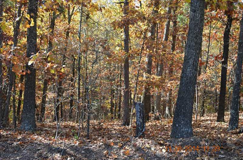 1st image of Paxton Ln