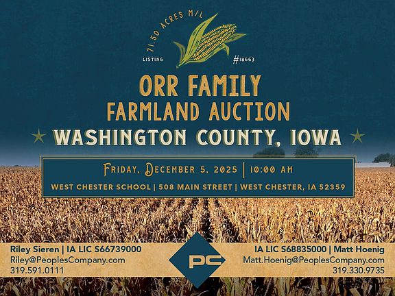 18663_18663 listing image