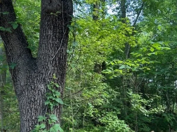 6587 Eastern Valley Rd, Mc Calla, AL 35111