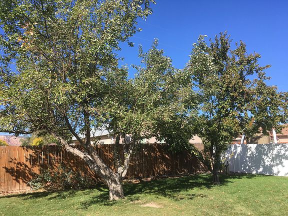 5th image of 609 Glacier Dr