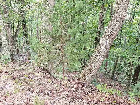 3rd image of 35 Dogwood Dr #35