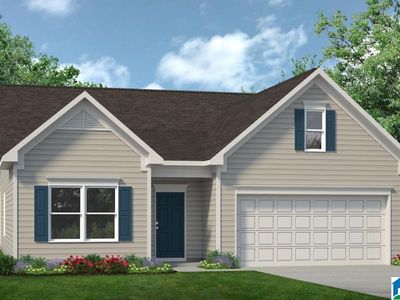 100 Sanie Rd, Odenville, AL, 35120