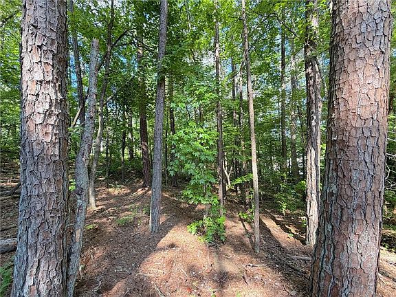 5th image of 1306 Southgate Dr #306