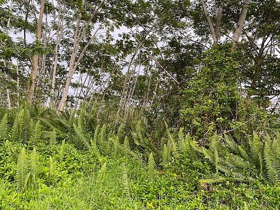 4th image of 18th Avenue Maia Lot 400