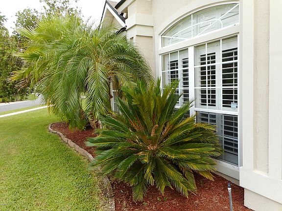 3rd image of 2095 Blue Heron Cove Dr