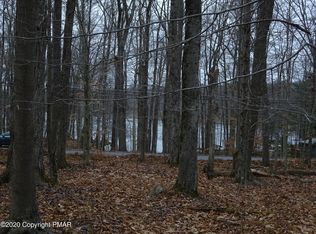 401 Locust Ln, Pocono Lake, PA 18347