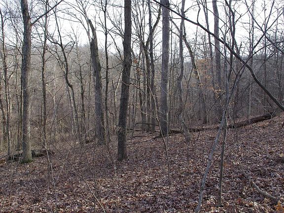 5th image of 60 Sandy Woods Dr