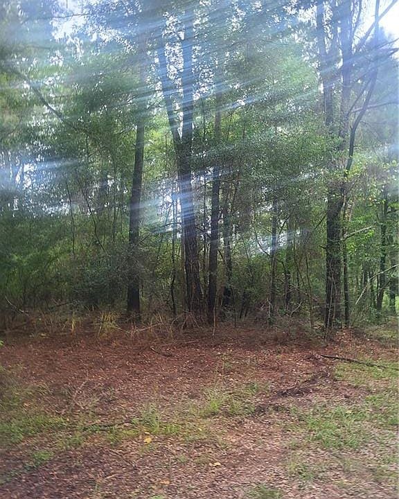0 Powell Rd, Creola, AL 36525 Zillow