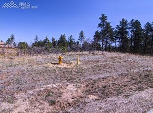 1385 Fremont Dr, Larkspur, CO 80118