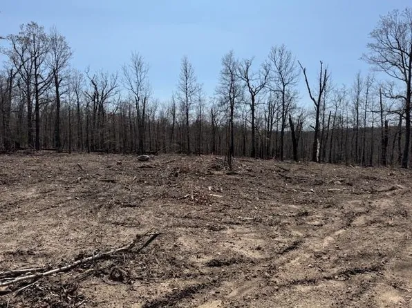 303 Mother Lode Dr, Horseshoe Bend, AR 72512