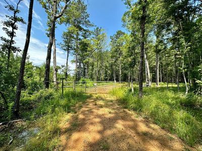 Lee Bass Rd, Pinola, MS, 39149