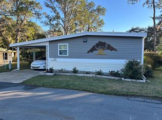 196 Palm Meadows Dr, Eustis, FL 32726