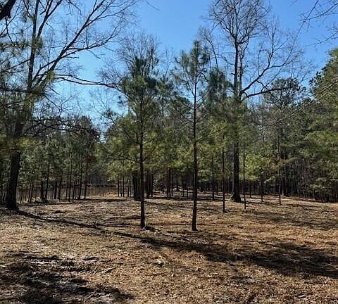 3rd image of 0 Water Oak Drive