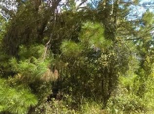 Water Rd, Clermont, FL 34714