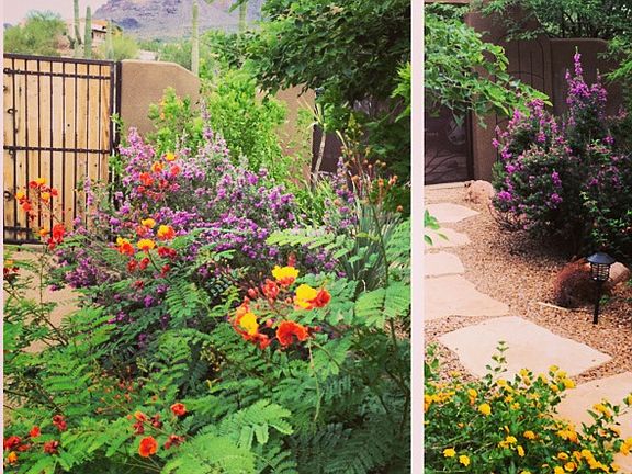 Poolside landscaping