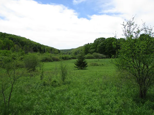 Union Valley Rd, Hinsdale, NY 14743