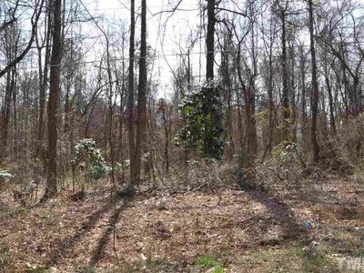 Tbd Moon Lindley Rd, Snow Camp, NC, 27349