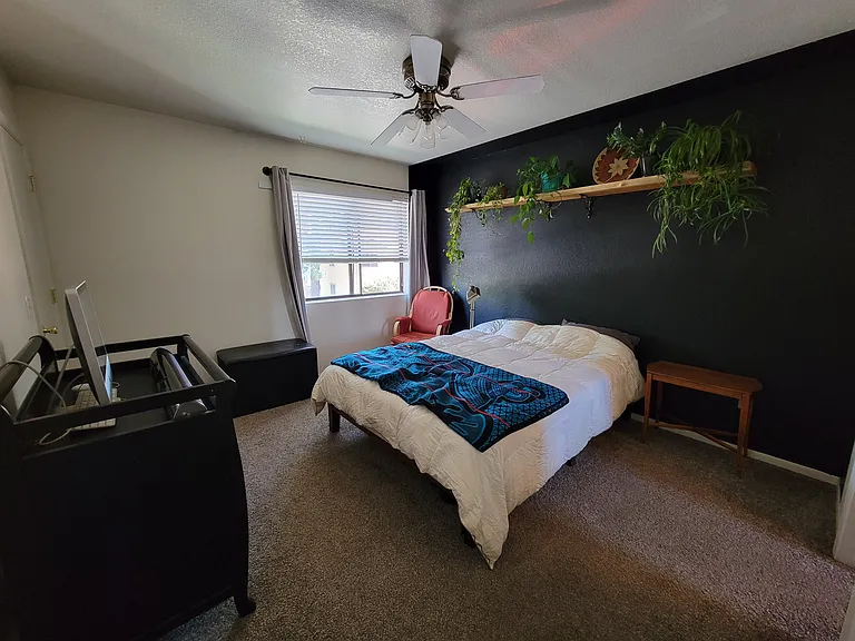 Master Bedroom Black Wall