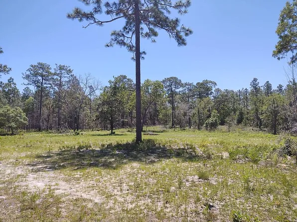 5555 N Muslin Ter, Dunnellon, FL 34433