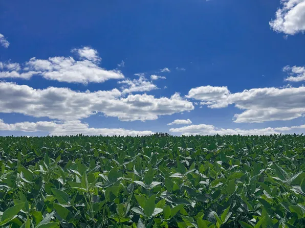 0 Concrete Rd, Carlisle, KY 40311