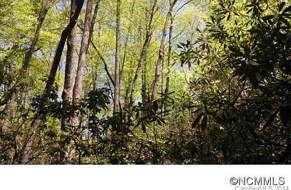 4th image of 18 & 19 Crooked Creek Estates Dr #Old