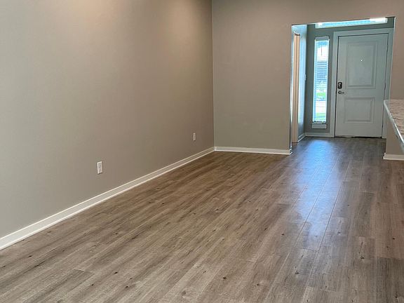 Entrance/Living Room