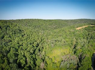 Williams Rd #1, Candor, NY 13743