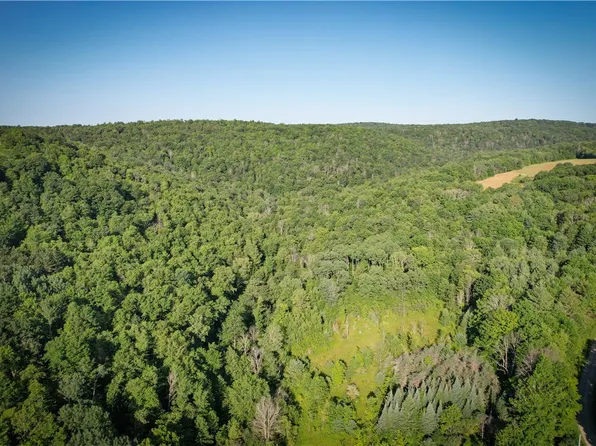 Williams Rd #1, Candor, NY 13743