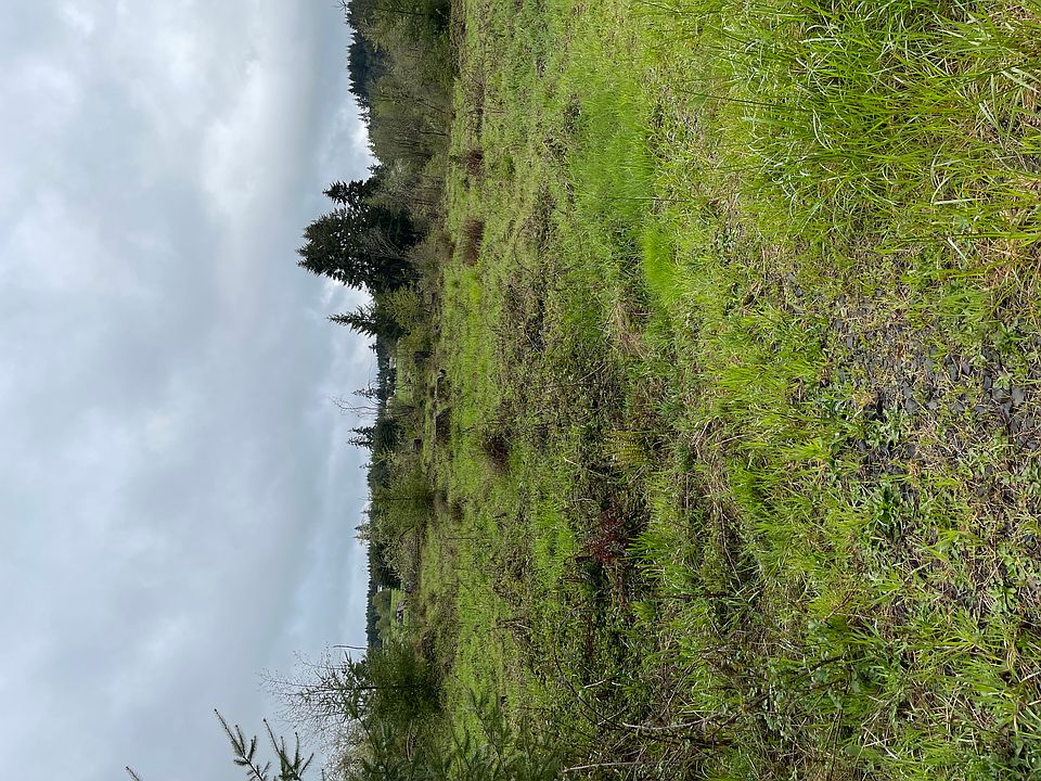 2nd image of 690 Nevil Rd