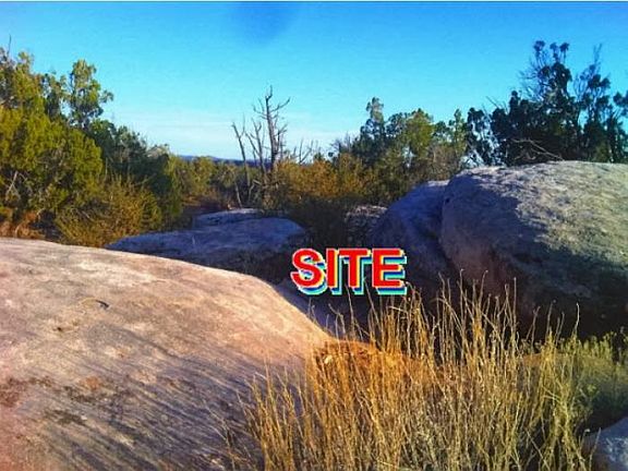 3rd image of 8372 Silver Creek Dr