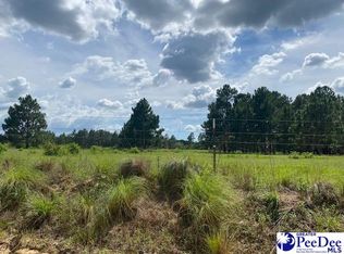 1278 Widow Johnson Rd, Hartsville, SC 29550