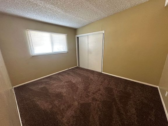 5th image of 316 Palm Dr