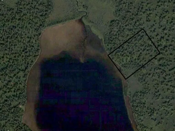 L069 Road, Skwentna, AK 99667