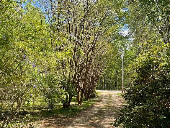 3rd image of 91 Charles Mitchell Rd