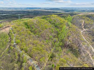 0 Nell Beard Rd, New Johnsonville, TN 37134