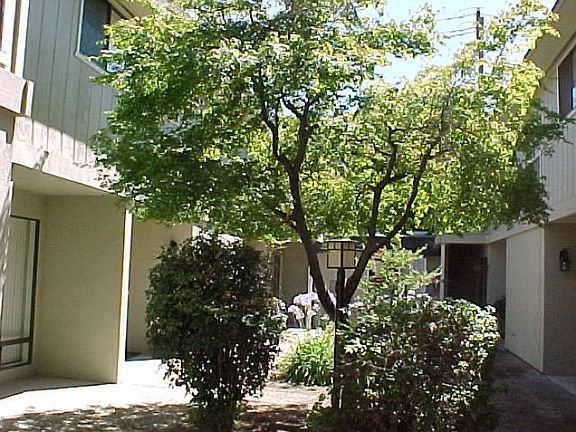 Court Yard View