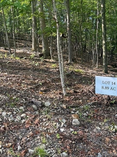 2nd image of 110 Steeple Point Dr Lot 14