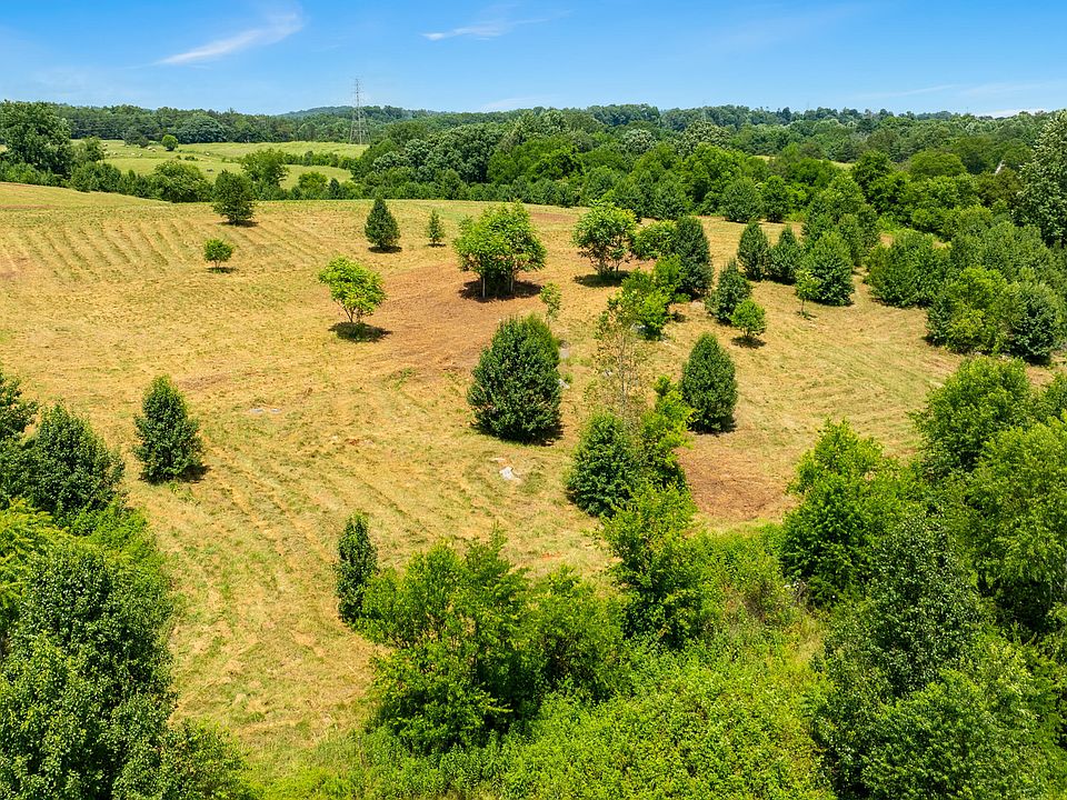 2nd image of Thorngrove Pike