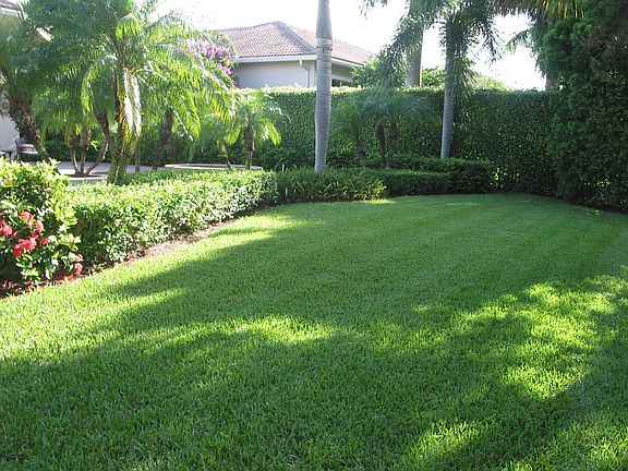 4th image of 537 Les Jardin Dr