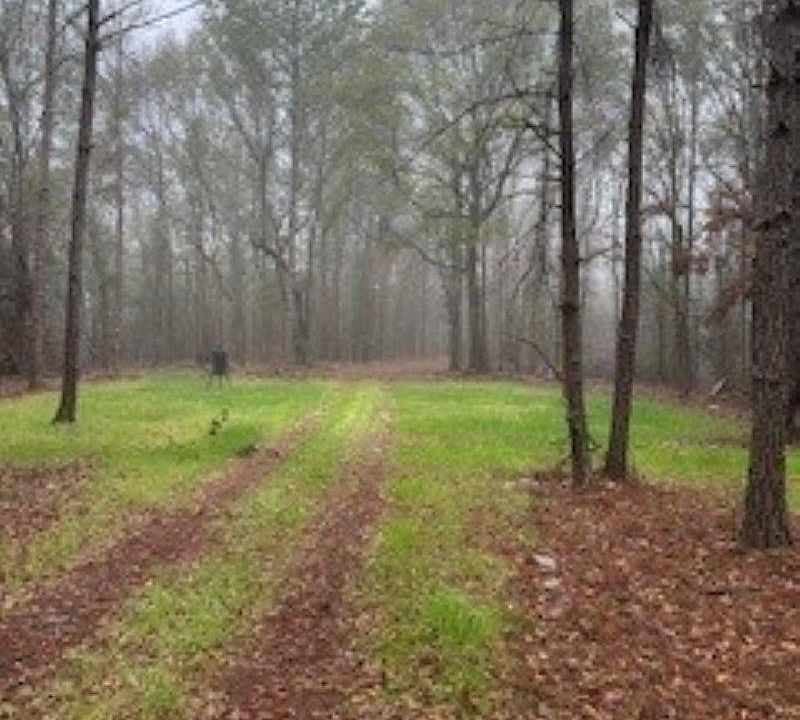 1st image of 0 W Eastward Rd