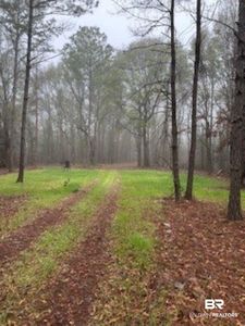 0 W Eastward Rd, Jackson, AL, 36545