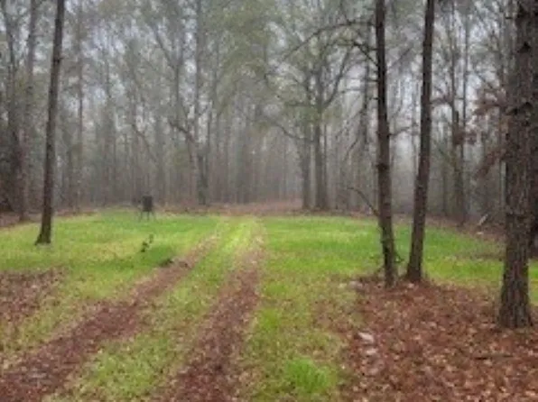 0 W Eastward Rd, Jackson, AL 36545